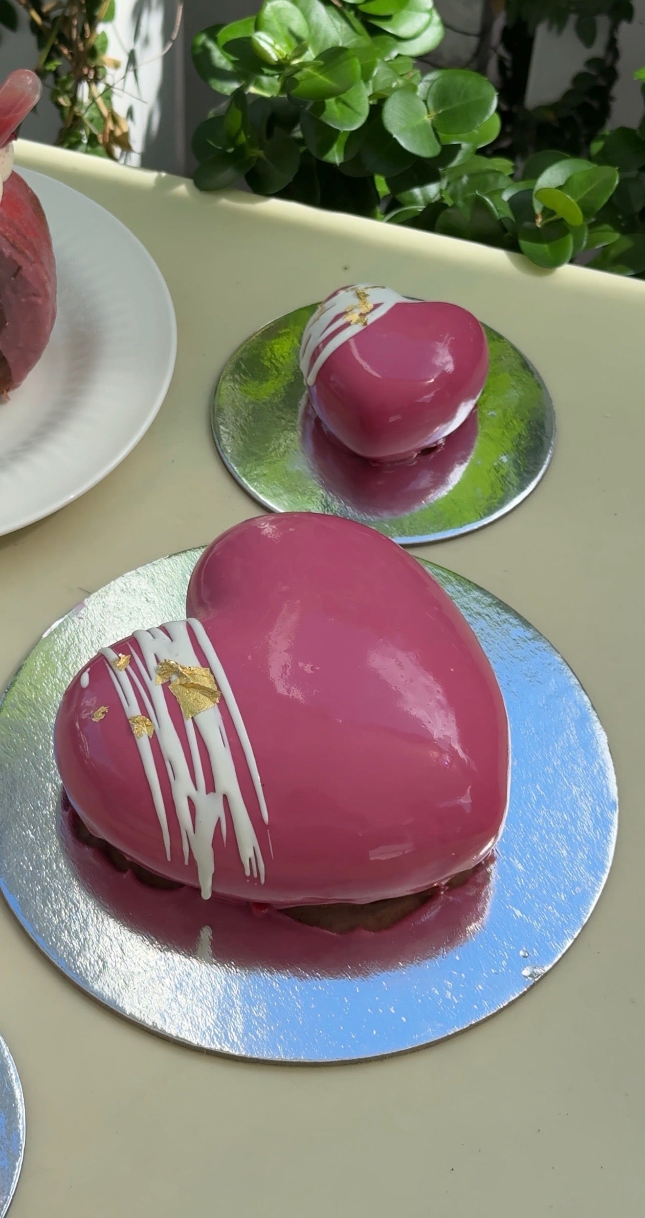 Lindt Dark Chocolate &amp; Raspberry Entremet
